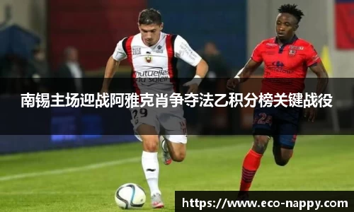 南锡主场迎战阿雅克肖争夺法乙积分榜关键战役